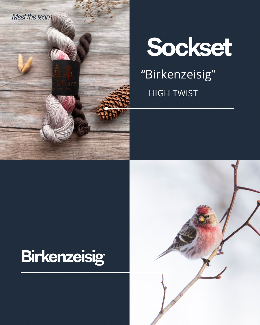 Sock Set - Birkenzeisig - High Twist