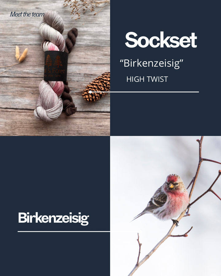 Sock Set - Birkenzeisig - High Twist