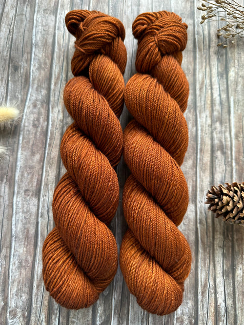 Eichhörnchen