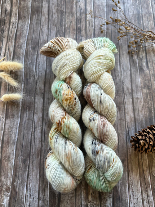 Seashell