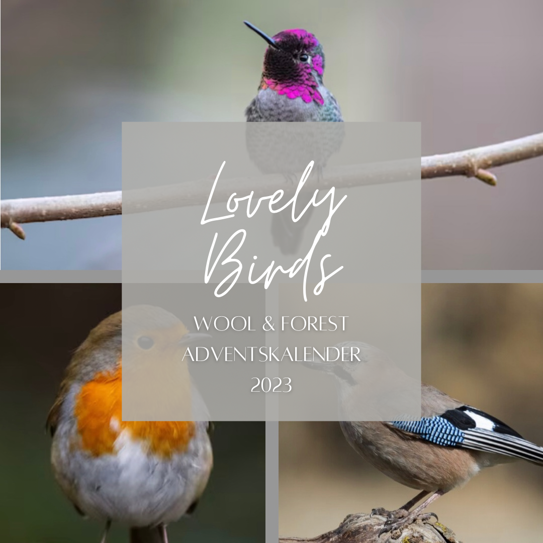 Adventskalender  - Lovely Birds -  Socksets 2023